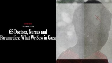 65 Doctors, Nurses and Paramedics: What We Saw in Gaza